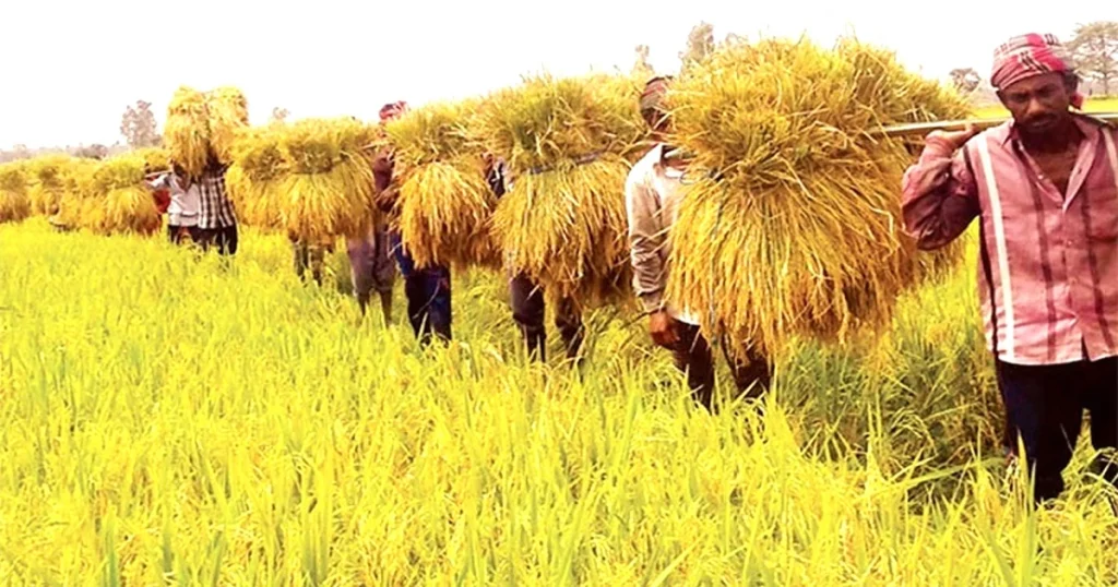 Harvesting