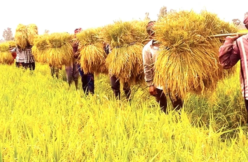 Harvesting