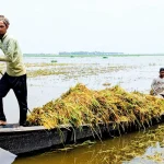 Haor Flood