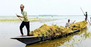Haor Flood