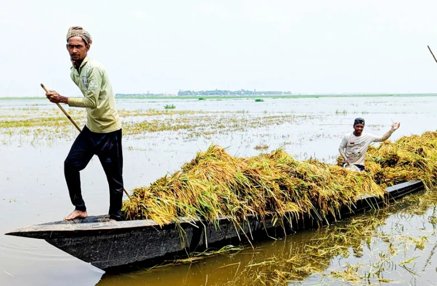 Haor Flood