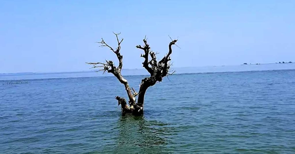বর্ষায় নিকলী হাওরে বেড়াবেন কিভাবে? 4 Haor Flood