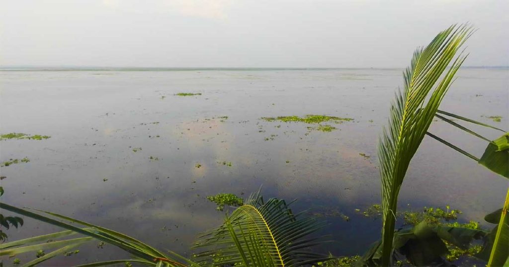 বর্ষায় নিকলী হাওরে বেড়াবেন কিভাবে? 3 Haor Water
